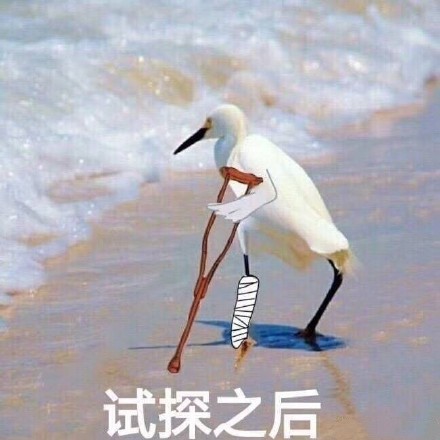 舞蹈老师Doinb，在被马哥拉黑的边缘疯狂试探